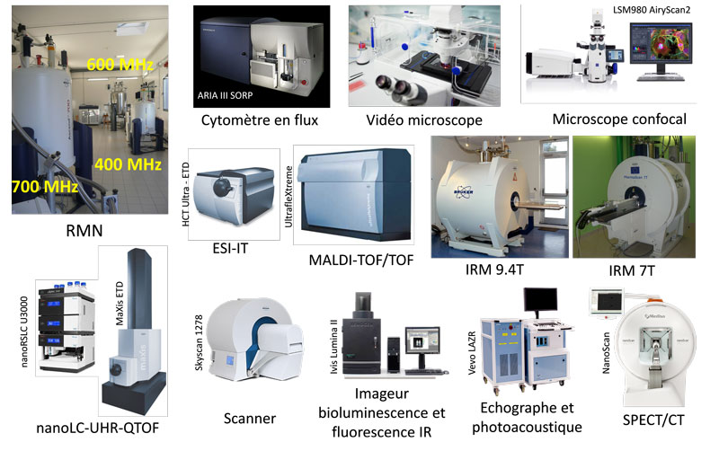 Plateforme Imagerie et Spectroscopie par Résonance Magnétique